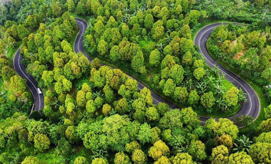 3X Planet · Brand 04